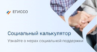 Социальный калькулятор ЕГИССО